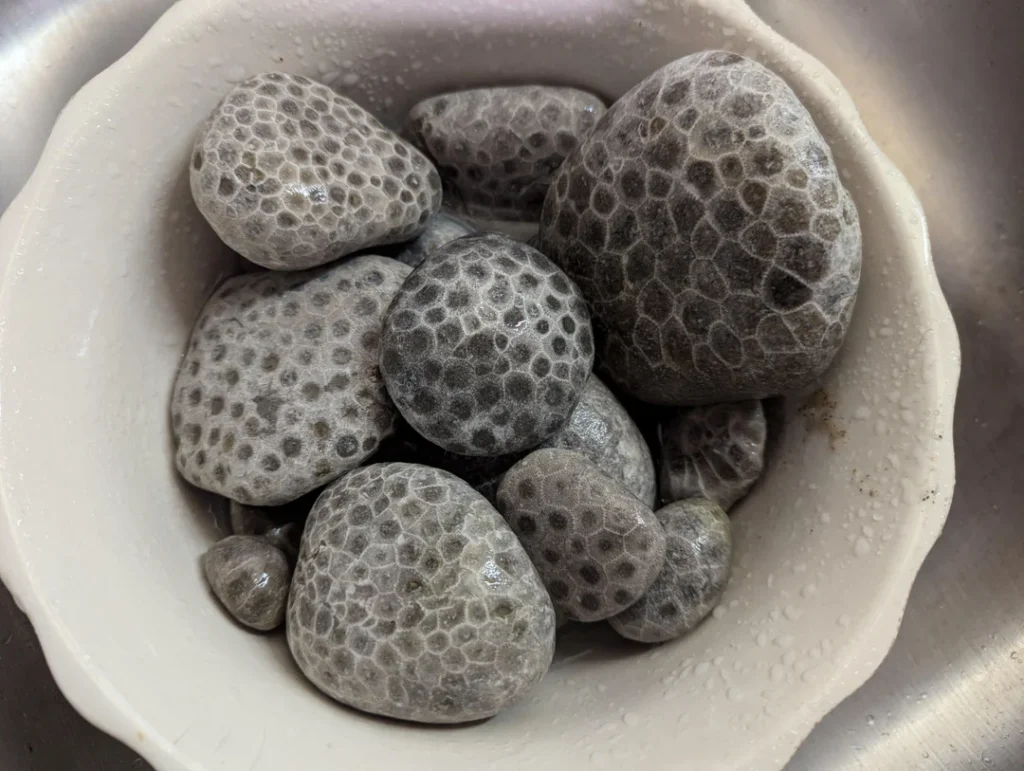 How to Polish Petoskey Stones